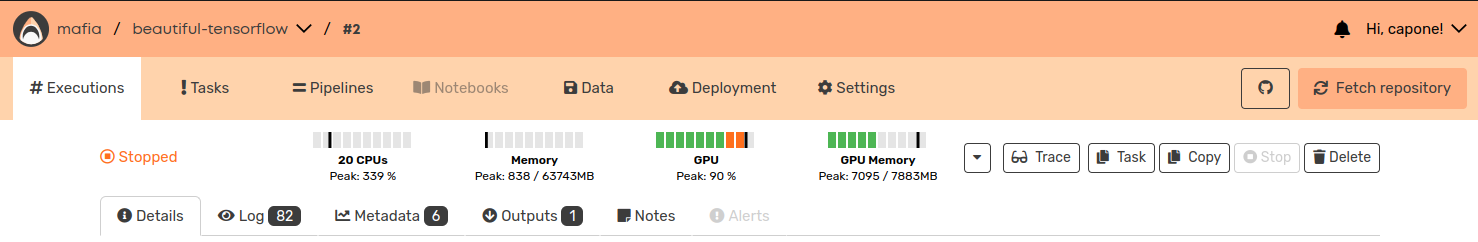 Workload resource utilization as shown on the execution page