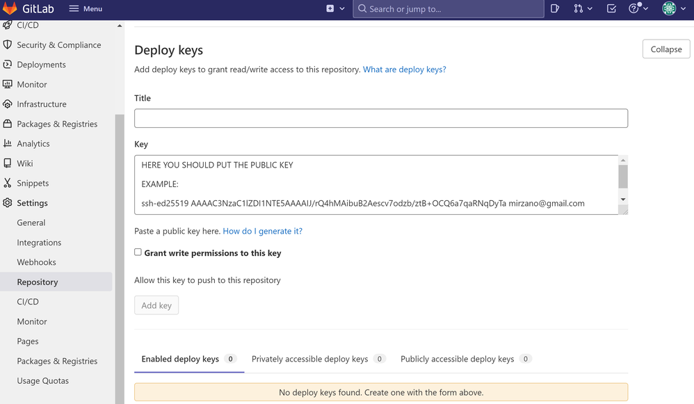 GitLab Key Paste
