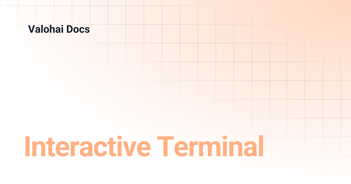 Interactive Terminal | Valohai Docs